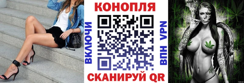 Где продают наркотики Завитинск Гашиш Бошки Шишки Амфетамин Меф
