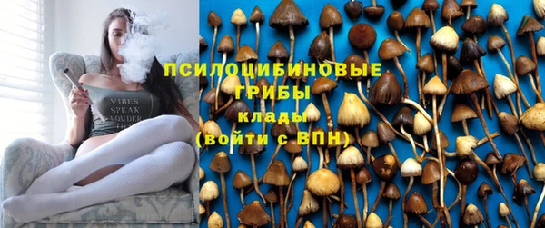 spice Лиски